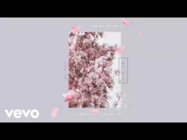 Shawn Mendes - Youth (Remix) ft. Khalid, Jessie Reyez